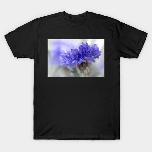 Blue Beauty..... T-Shirt by BobDaalder